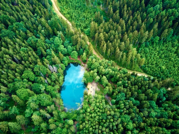 Villa In The Forest Villa In The Forest