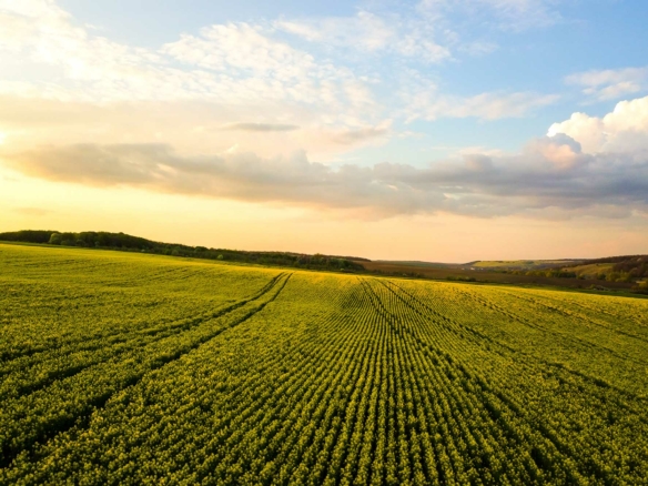 The Perfect Parcel The Perfect Parcel