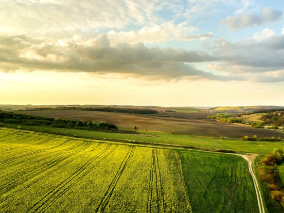 Land For Sale Land For Sale