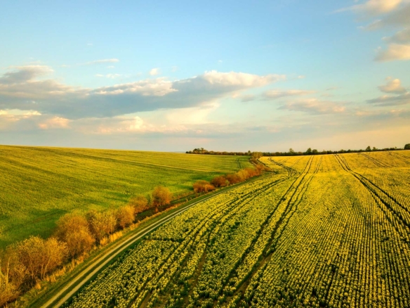 Equestrian Land Equestrian Land