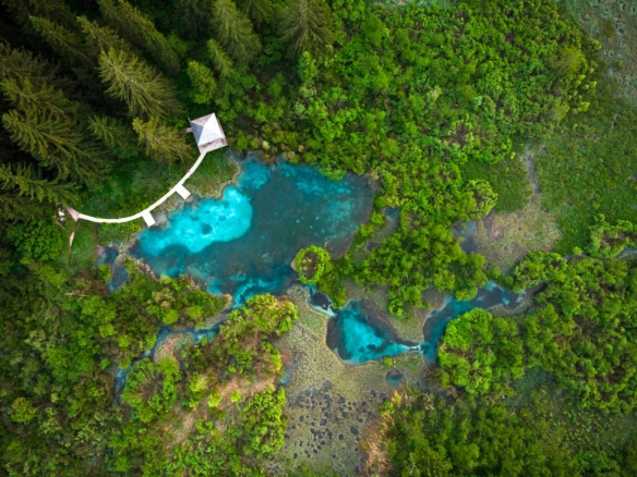 Green View Green View