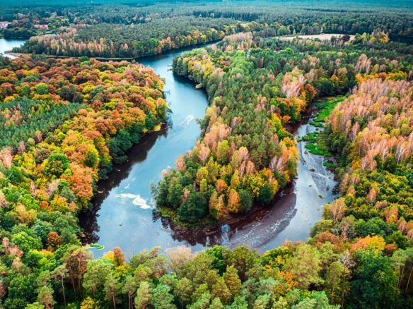 River Site River Site