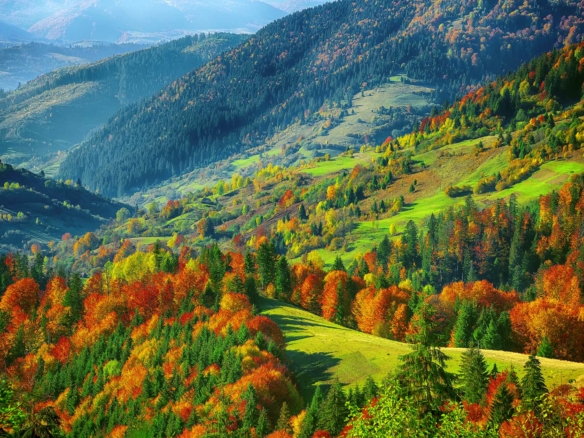 Natural Lands Natural Lands