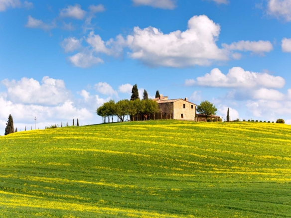 Ranchlands Ranchlands