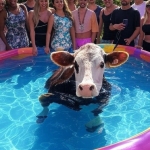 Afoga essa vaca dentro da piscina Afoga essa vaca dentro da piscina