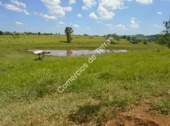 Fazenda de 80 Alqueires à venda em Quadra SP por 10 Milhoes de reais, excelente investimento!