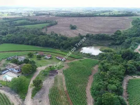 Fazenda de Cana à venda em Capela do Alto em Sorocaba.