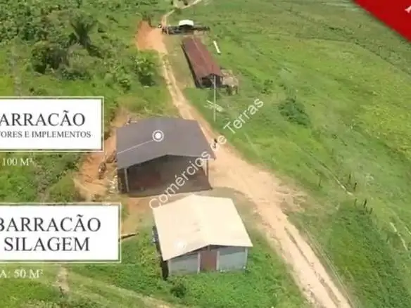 Descubra uma oportunidade única de adquirir uma fazenda excepcional em Iguape, perfeita para pecuária, pupunha e piscicultura, com infraestrutura completa e localização estratégica!