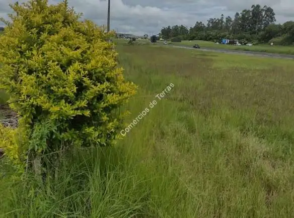 Com 57 alqueires, só terra, sem benfeitorias, margea a pista em 2km com a Rodovia Castelo Branco. Ideal para loteamento, condomínio ou indústrias. Fazenda com duas matrículas individual, uma com 30 alqueires e outra com 27 alqueires. Vende-se total ou divide as matrículas. Preço a combinar!
