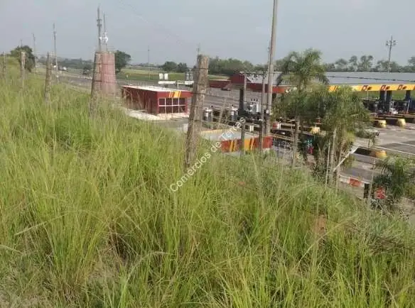 Fazenda Encantadora à Venda em Quadra, Uma oportunidade única para adquirir uma fazenda deslumbrante!