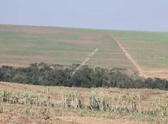 Fazenda de cana à venda em Santa Maria da Serra em SP.