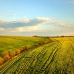 Equestrian Land
