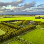 Agrarian Estate