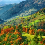 Natural Lands