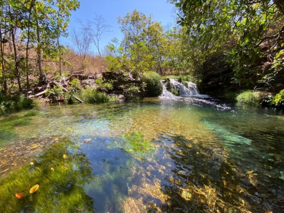 Fazenda Refúgio Natural com Grande Potencial em Dias D´Ávila em Salvador